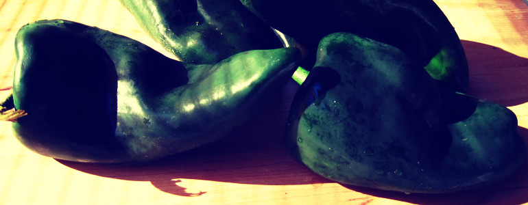 poblano pepper shu