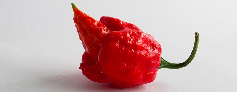 Scorpion Pepper