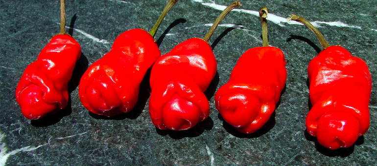 peter pepper heat scale