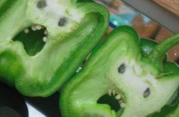 Creepy Bell Pepper Faces