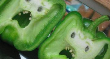 Creepy Bell Pepper Faces