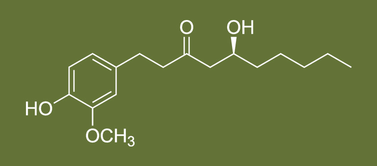 gingerol scoville heat units