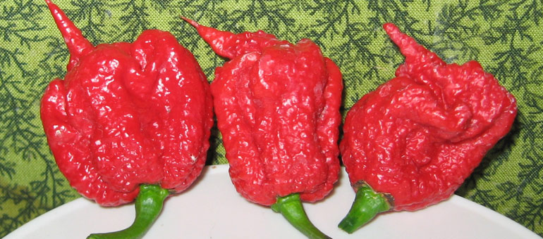 ssb carolina reaper sauce scoville