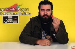 Hot Pepper Gaming