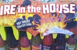 Fire in the House Gift Set Review