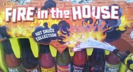 Fire in the House Gift Set Review