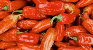 What Are Those Lines On Peppers?