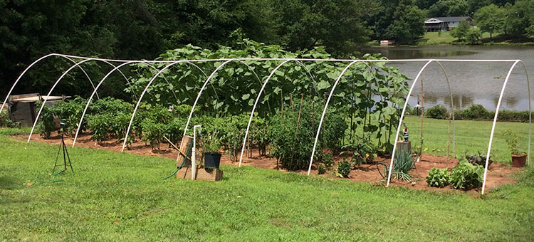 OB's Garden