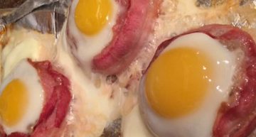 Dinosaur Eggs