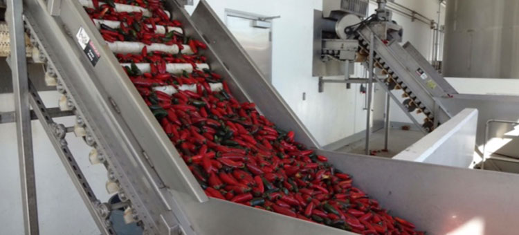 peppers arriving