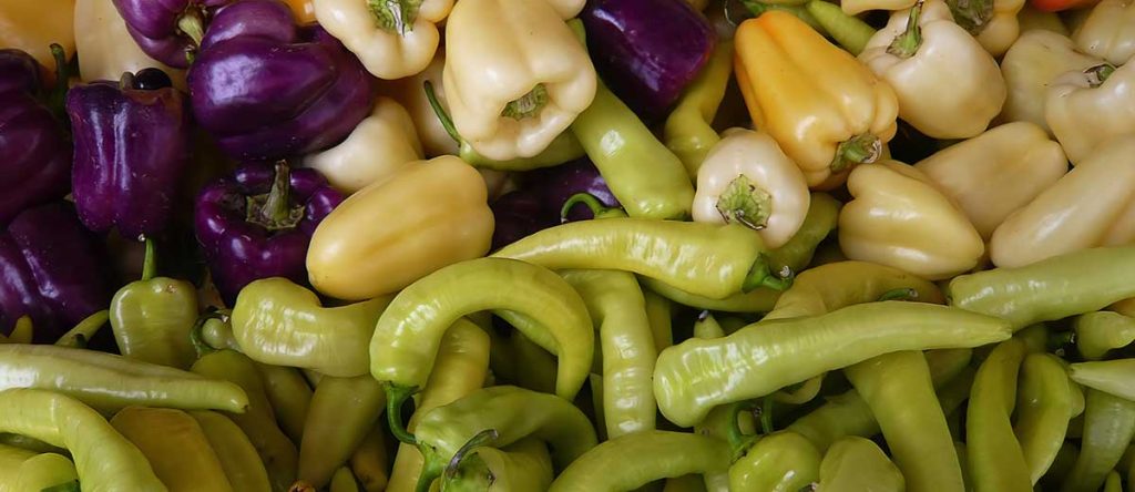 How to grow peppers indoors